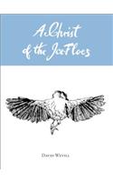 Christ of the Ice-Floes