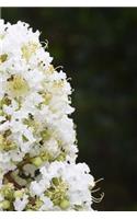 Crepe Myrtle Notebook