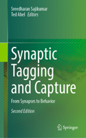 Synaptic Tagging and Capture