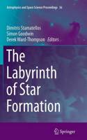 Labyrinth of Star Formation