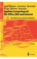 Business Computing Mit Ms-Office 2003 Und Internet