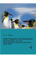 Unter Pinguinen und Seehunden