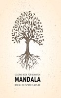 Mandala coloring book