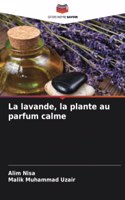 lavande, la plante au parfum calme