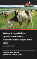 Svelare i segreti della riproduzione e della biochimica del sangue delle capre