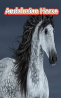 Andalusian Horse