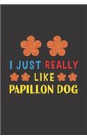 I Just Really Like Papillon Dog: Dog Training Logbook For Peoples Who Loves Their Papillon Dog
