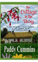 Cottage in the Bog