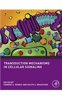 Transduction Mechanisms in Cellular Signaling