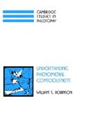 Understanding Phenomenal Consciousness: (Cambridge Studies in Philosophy)