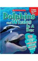 Dolphins and Whales in a Box [With Cards and Poster and 3 Books]