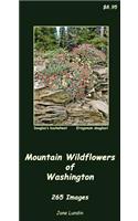 Mountain Wildflowers of Washington