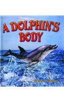A Dolphin's Body: (Dolphin Worlds S.)