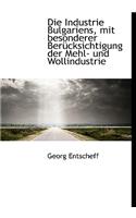 Die Industrie Bulgariens, Mit Besonderer Berucksichtigung Der Mehl- Und Wollindustrie