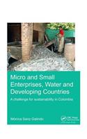 Micro and Small Enterprises, Water and Developing Countries