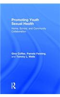 Promoting Youth Sexual Health