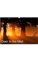 Deer in the Mist 2018