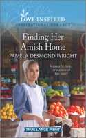 Finding Her Amish Home