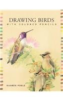 Drawing Birds with Colored Pencils