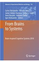 From Brains to Systems