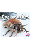 Cockroaches