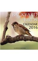 Backyard Birds Calendar 2016: 16 Month Calendar