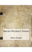 Bricks Without Straw