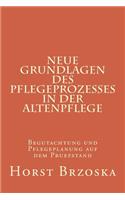 Neue Grundlagen des Pflegeprozesses in der Altenpflege: Begutachtung und Pflegeplanung auf dem Pruefstand