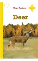 Deer