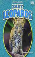 Baby Leopards