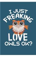 I just freaking love owl OK