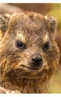 Grumpy Hyrax Journal: 150 Page Lined Notebook/Diary