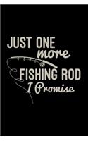 Just one more fishing rod I promise