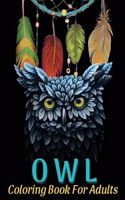 Owl Coloring Book For Adults