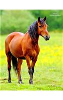 Horse Unruled Notebook: Unruled, Blank Notebook. No Lines. No Page Numbers. Glossy Cover with Image on Front and Back. Full Size at 8.5 X 11 Inches. Great for Artwork or Jo