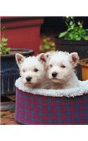 School Composition Book Two Pups Basket Dog Photo 200 Pages: (Notebook, Diary, Blank Book)(Pet Photo Composition Notebooks)