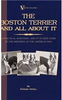 Boston Terrier And All About It - A Practical, Scientific, And Up To Date Guide To The Breeding Of The American Dog (A Vintage Dog Books Breed Classic)
