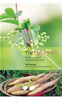 The Light Root