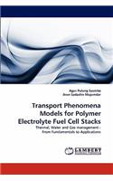 Transport Phenomena Models for Polymer Electrolyte Fuel Cell Stacks