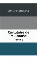 Cartulaire de Mulhouse Tome 1