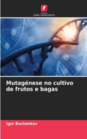 Mutagénese no cultivo de frutos e bagas