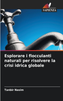 Esplorare i flocculanti naturali per risolvere la crisi idrica globale