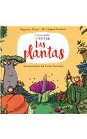 Las Plantas