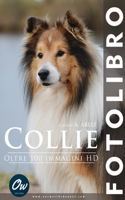 Collie: Fotolibro - oltre 100 immagini HD