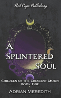 Splintered Soul