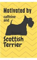 Motivated by caffeine and Scottish Terrier