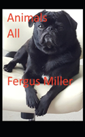Animals All
