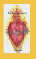 Anatomical Intimacy of the Heart