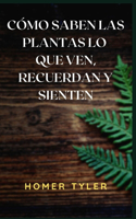 Cómo Saben Las Plantas Lo Que Ven, Recuerdan Y Sienten