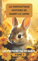 fantastique histoire de Harry le lapin